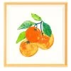 'Ojai Valley Oranges' Framed Art By Nathan Turner