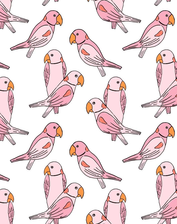 'Alexandrine Parakeet' Wallpaper By Tea Collection - Pink 3 'Alexandrine Parakeet' Wallpaper By Tea Collection - Pink