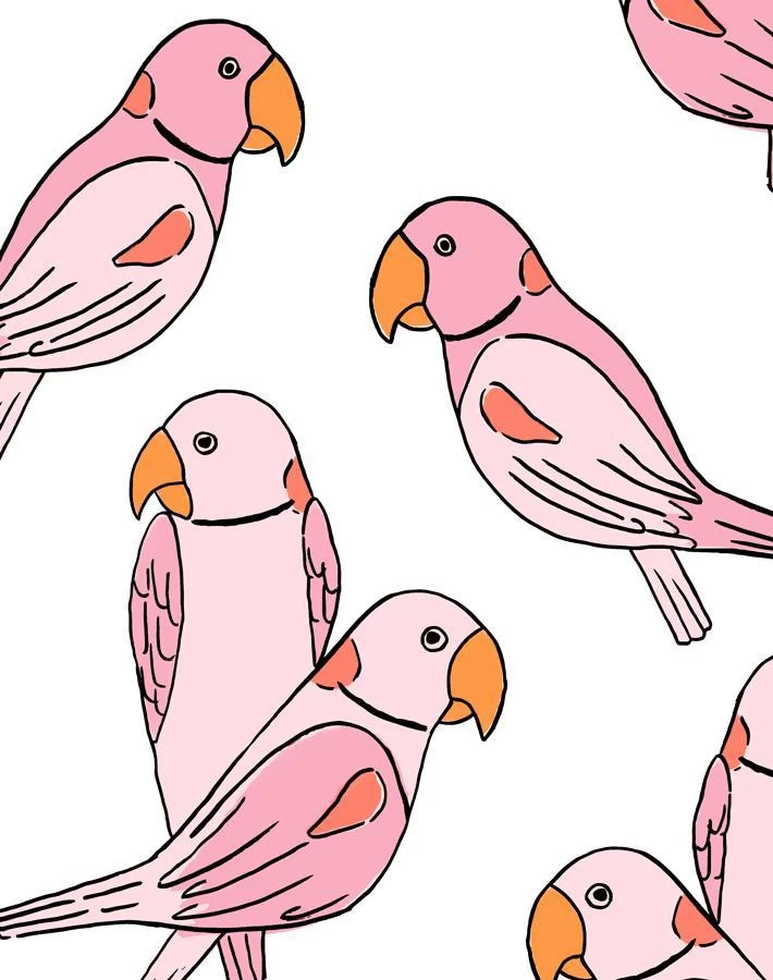 'Alexandrine Parakeet' Wallpaper By Tea Collection - Pink 5 'Alexandrine Parakeet' Wallpaper By Tea Collection - Pink - Image 3