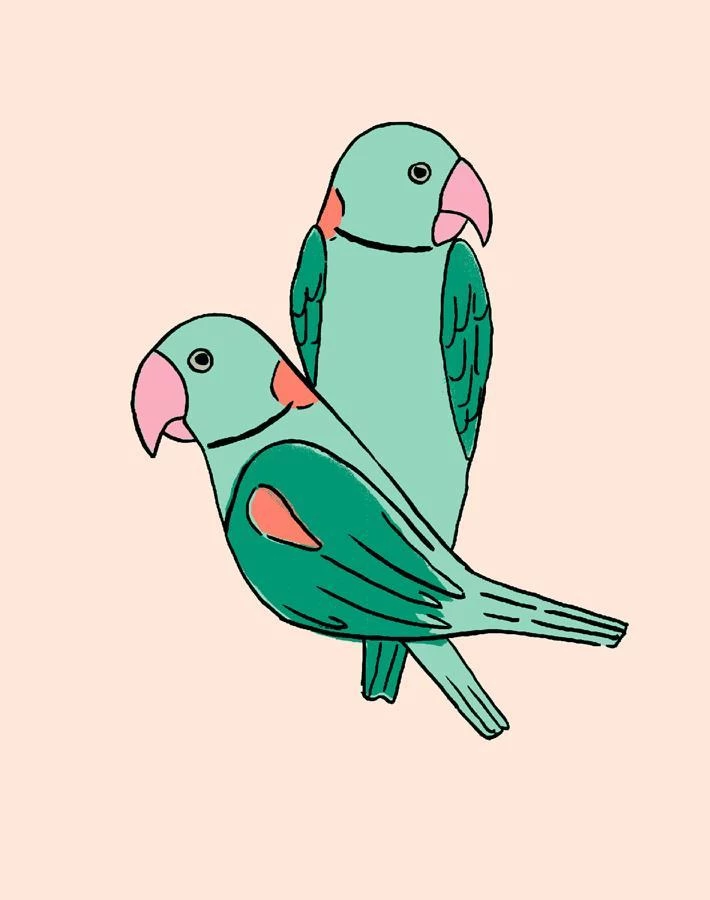 'Small Alexandrine Parakeet' Wallpaper By Tea Collection - Caribbean 5 'Small Alexandrine Parakeet' Wallpaper By Tea Collection - Caribbean - Image 3