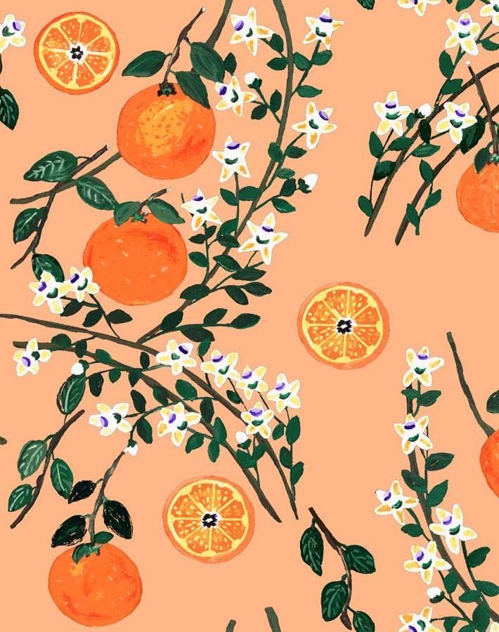 'Arance Dolci' Wallpaper By Carly Beck - Orange 4 'Arance Dolci' Wallpaper By Carly Beck - Orange - Image 2