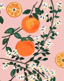 'Arance Dolci' Wallpaper By Carly Beck - Pink -Wall Decoration Store Arance Dolci Pink detail ae1eeea0 4c8e 4e52 83c6 25c463489708