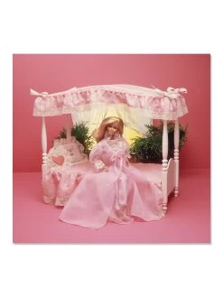 'Barbie™ Dream Bed On Acrylic