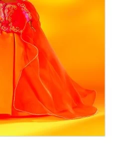 'Barbie™ Tangerine Ball Gown On Acrylic -Wall Decoration Store Barbie Tangerine Ball Gown on Acrylic by artshoppe detail 97ab837f 8362 4563 a7b1 f9f0829d516c