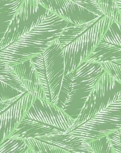 'Best Fronds' Wallpaper By Wallshoppe - Green 9 'Best Fronds' Wallpaper By Wallshoppe - Green -Wall Decoration Store Best Fronds Green H 61e9ae2e e03b 42bb 95a6 8c807a6e0d23