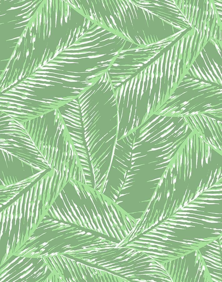 'Best Fronds' Wallpaper By Wallshoppe - Green 6 'Best Fronds' Wallpaper By Wallshoppe - Green - Image 4