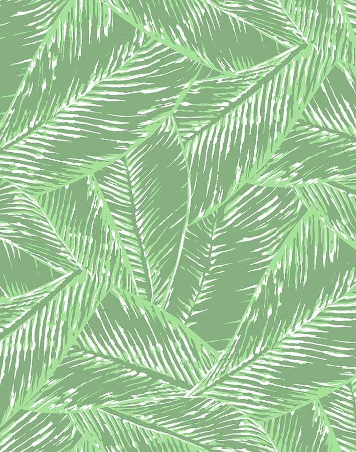 'Best Fronds' Wallpaper By Wallshoppe - Green 3 'Best Fronds' Wallpaper By Wallshoppe - Green
