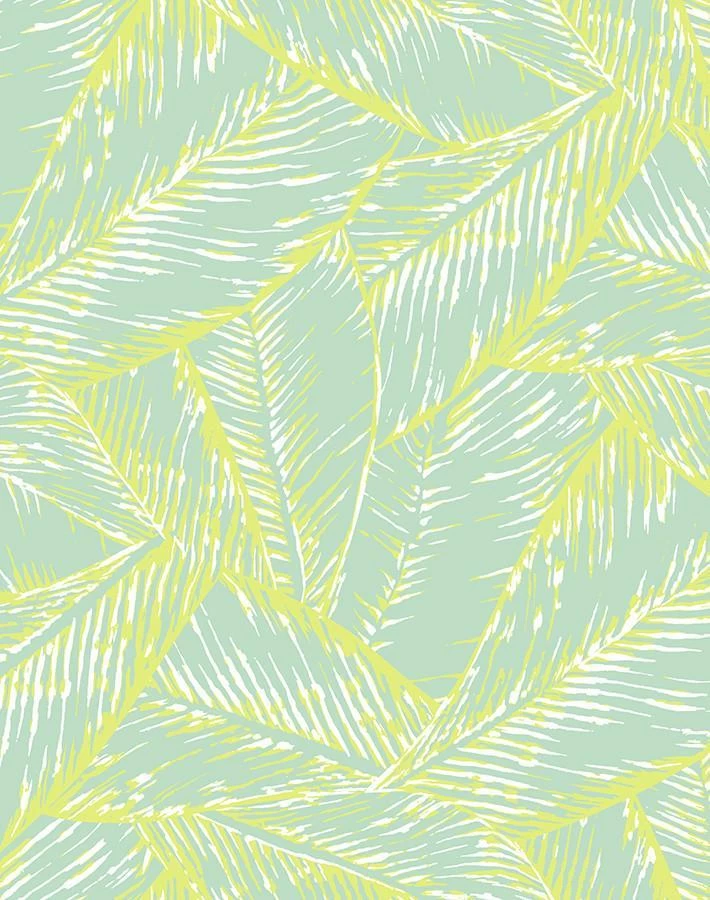 'Best Fronds' Wallpaper By Wallshoppe - Keylime 6 'Best Fronds' Wallpaper By Wallshoppe - Keylime - Image 4