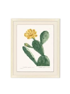 'Blooming Cacti 3' By Nathan Turner Framed Art