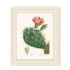 'Blooming Cacti 4' By Nathan Turner Framed Art