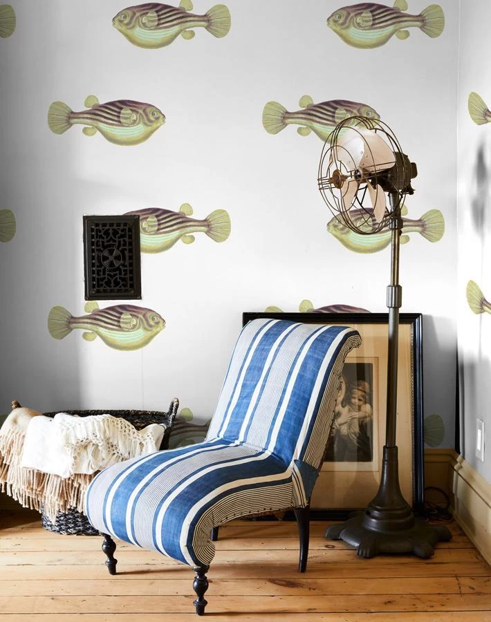 'Blowfish' Wallpaper By Wallshoppe - Multi 4 'Blowfish' Wallpaper By Wallshoppe - Multi - Image 2