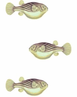 'Blowfish' Wallpaper By Wallshoppe - Multi 9 'Blowfish' Wallpaper By Wallshoppe - Multi -Wall Decoration Store Blowfish forweb multi cf675ef0 3773 4e8b a0f7 72d316a2b11e
