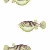 'Blowfish' Wallpaper By Wallshoppe - Multi 1 'Blowfish' Wallpaper By Wallshoppe - Multi -Wall Decoration Store Blowfish forweb multi d64cbf78 65a7 4088 8e64 a978e2d8952a