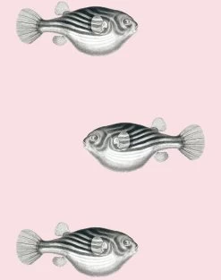 'Blowfish' Wallpaper By Wallshoppe - Shell