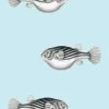 'Blowfish' Wallpaper By Wallshoppe - Sky