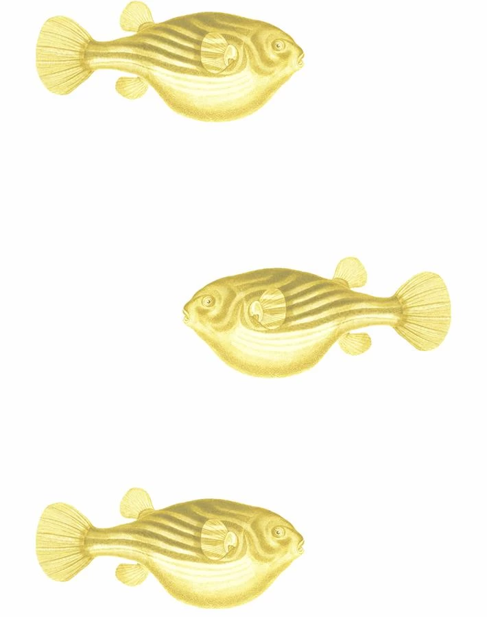 'Blowfish' Wallpaper By Wallshoppe - Yellow 3 'Blowfish' Wallpaper By Wallshoppe - Yellow
