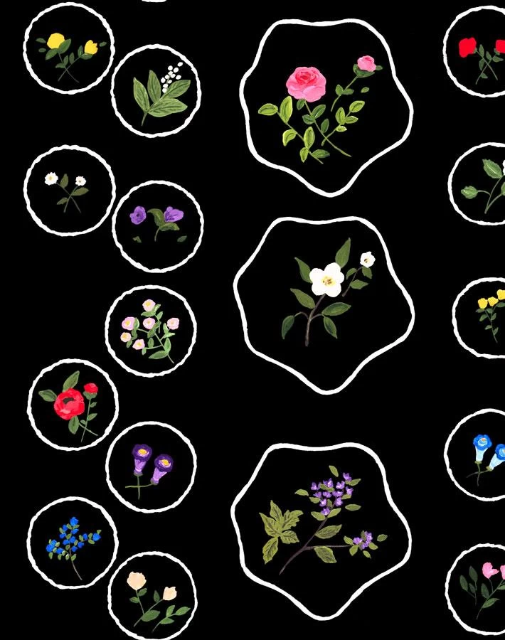 'Bouvier's Botanical' Wallpaper By Carly Beck - Black 3 'Bouvier's Botanical' Wallpaper By Carly Beck - Black