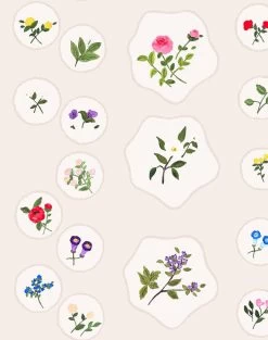'Bouvier's Botanical' Wallpaper By Carly Beck - Cream