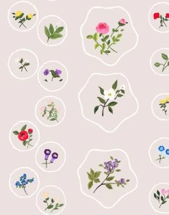 'Bouvier's Botanical' Wallpaper By Carly Beck - Oyster