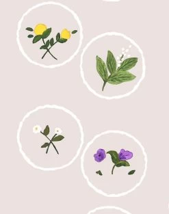 'Bouvier's Botanical' Wallpaper By Carly Beck - Oyster -Wall Decoration Store Bouvier s Botanical Oyster detail 28e39909 6ba3 4895 8c18 3298f13771b4