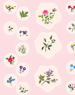 'Bouvier's Botanical' Wallpaper By Carly Beck - Pink