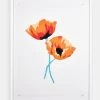 'California Poppies' Framed Art By Nathan Turner -Wall Decoration Store California Poppies by Nathan Turner