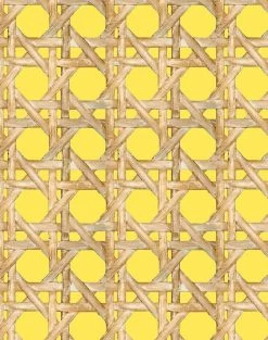 'Faux Caning' Wallpaper By Wallshoppe - Daffodil 8 'Faux Caning' Wallpaper By Wallshoppe - Daffodil -Wall Decoration Store Caning Daffodil detail ba4e855f 656d 4070 9508 028766724be7