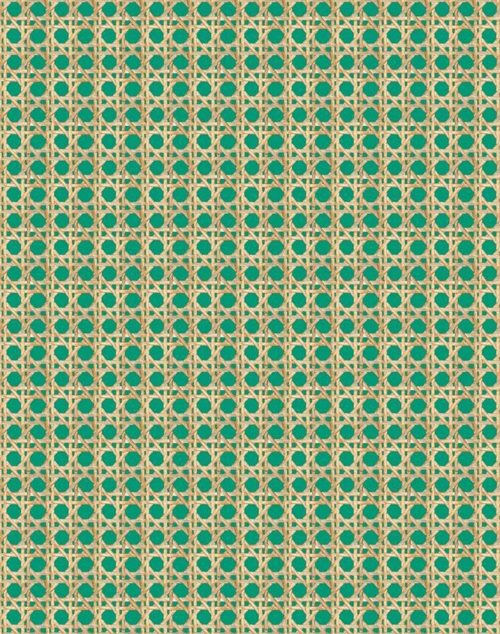 'Faux Caning' Wallpaper By Wallshoppe - Emerald 6 'Faux Caning' Wallpaper By Wallshoppe - Emerald - Image 4