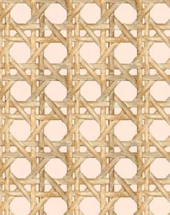 'Faux Caning' Wallpaper By Wallshoppe - Peach -Wall Decoration Store Caning Peach detail 05180ab3 9586 4a76 bfb1 e185c6f6b0c5