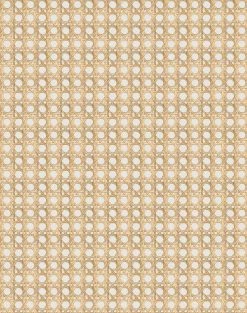 'Faux Caning' Wallpaper By Wallshoppe - Sand -Wall Decoration Store Caning Sand design 66184c2c 0560 491c a708 3f24c91e3d82