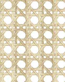 'Faux Caning' Wallpaper By Wallshoppe - Sesame -Wall Decoration Store Caning Sesame detail 5069d5a2 f129 4b27 9d9b 16c8470c2926