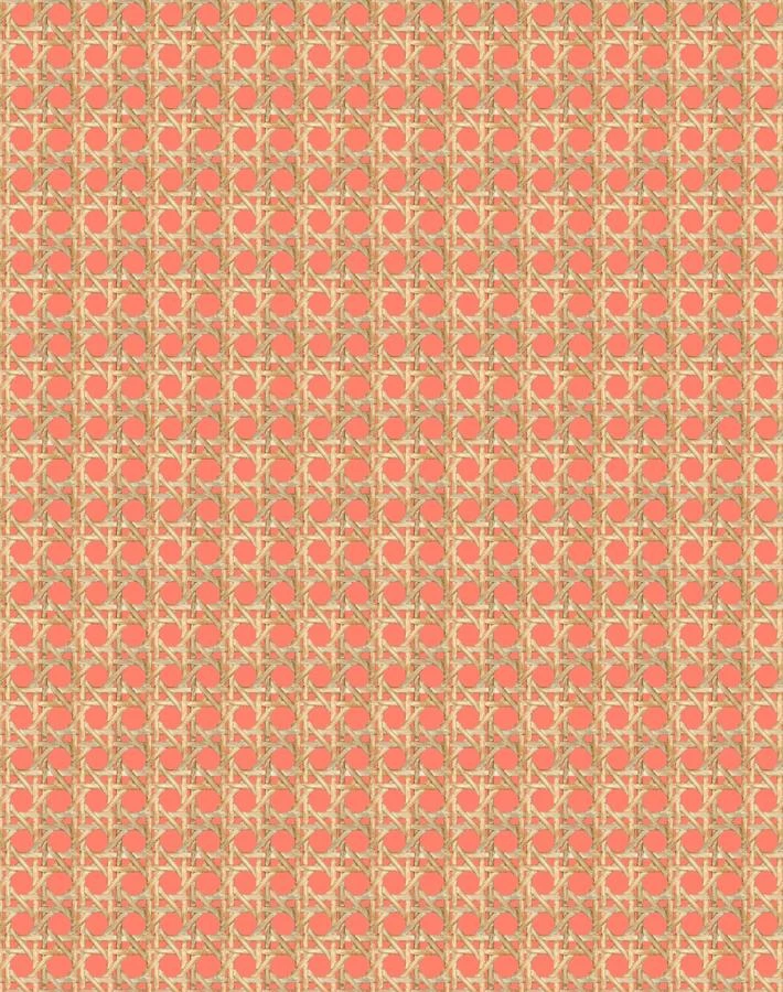 'Faux Caning' Wallpaper By Wallshoppe - Watermelon 3 'Faux Caning' Wallpaper By Wallshoppe - Watermelon