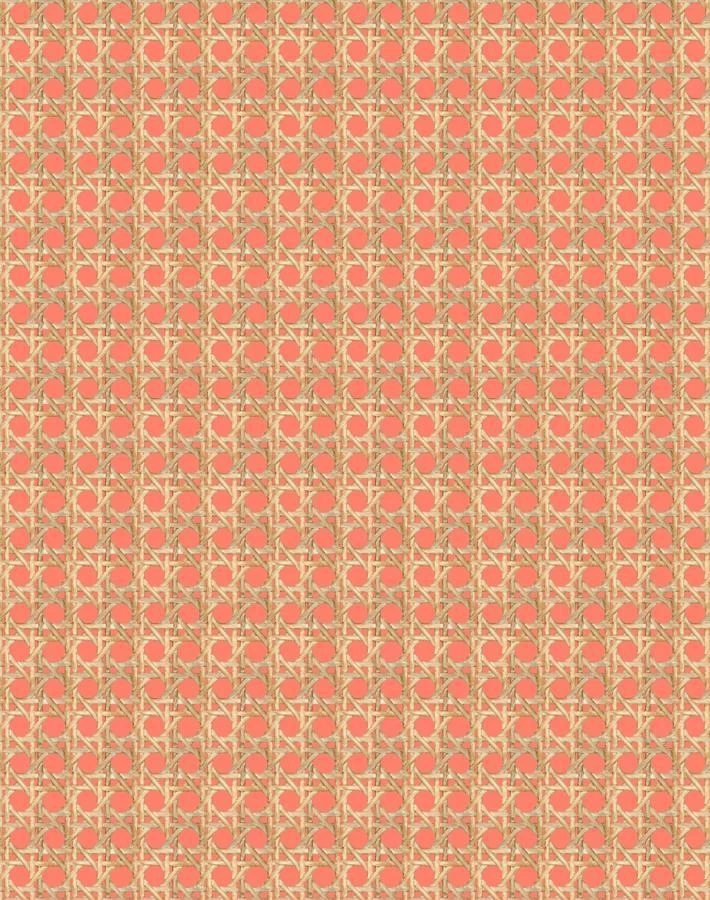 'Faux Caning' Wallpaper By Wallshoppe - Watermelon 6 'Faux Caning' Wallpaper By Wallshoppe - Watermelon - Image 4