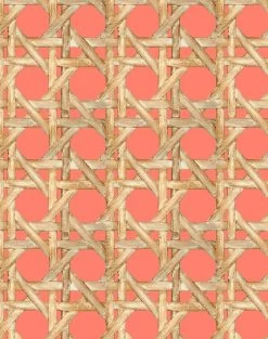 'Faux Caning' Wallpaper By Wallshoppe - Watermelon 8 'Faux Caning' Wallpaper By Wallshoppe - Watermelon -Wall Decoration Store Caning Watermelon detail 8e4aad49 0e21 496d a6ab 0929edec5b86