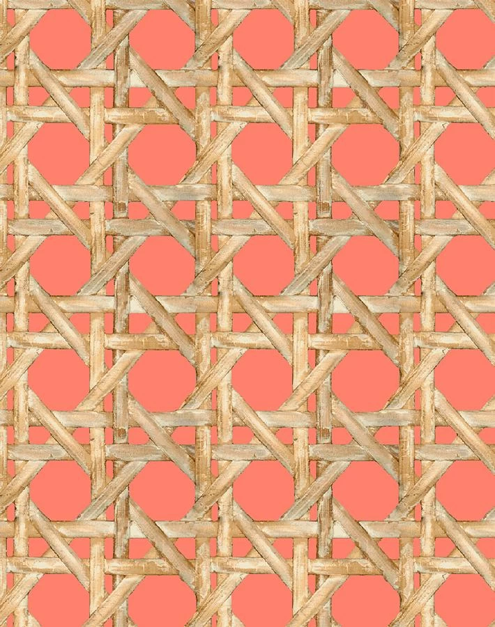 'Faux Caning' Wallpaper By Wallshoppe - Watermelon 5 'Faux Caning' Wallpaper By Wallshoppe - Watermelon - Image 3