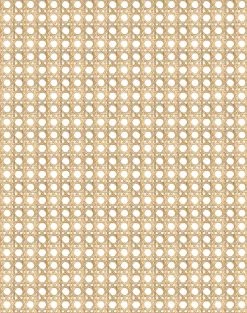 'Faux Caning' Wallpaper By Wallshoppe - Wicker
