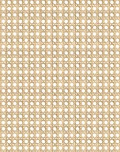 'Faux Caning' Wallpaper By Wallshoppe - Wicker -Wall Decoration Store Caning Wicker design 794b89e8 e7a3 47fa b721 95f9c36e947b