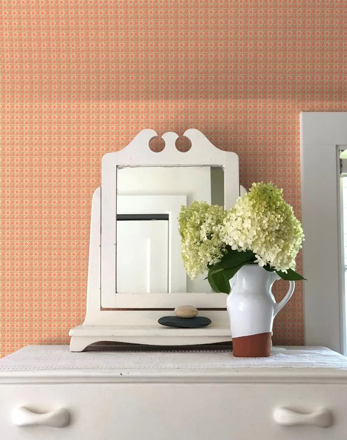 'Faux Caning' Wallpaper By Wallshoppe - Watermelon 4 'Faux Caning' Wallpaper By Wallshoppe - Watermelon - Image 2