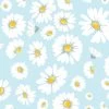 'Daisy Bloom' Wallpaper By Wallshoppe - Baby Blue