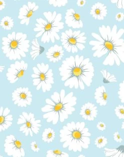 'Daisy Bloom' Wallpaper By Wallshoppe - Baby Blue