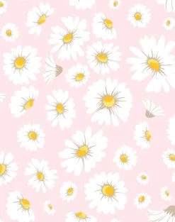 'Daisy Bloom' Wallpaper By Wallshoppe - Ballet Slipper
