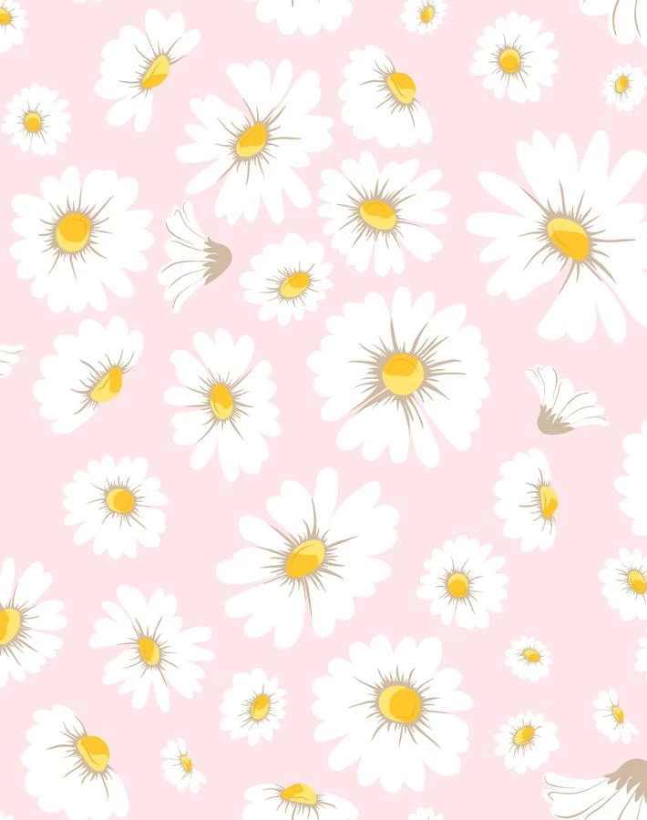 'Daisy Bloom' Wallpaper By Wallshoppe - Ballet Slipper 3 'Daisy Bloom' Wallpaper By Wallshoppe - Ballet Slipper