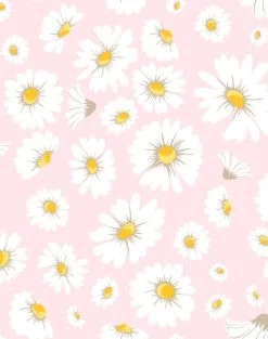 'Daisy Bloom' Wallpaper By Wallshoppe - Ballet Slipper 8 'Daisy Bloom' Wallpaper By Wallshoppe - Ballet Slipper -Wall Decoration Store DaisyBloom Ballet Slipper design d6006eef c7f7 4dbe 92dd 17e07ab188f0