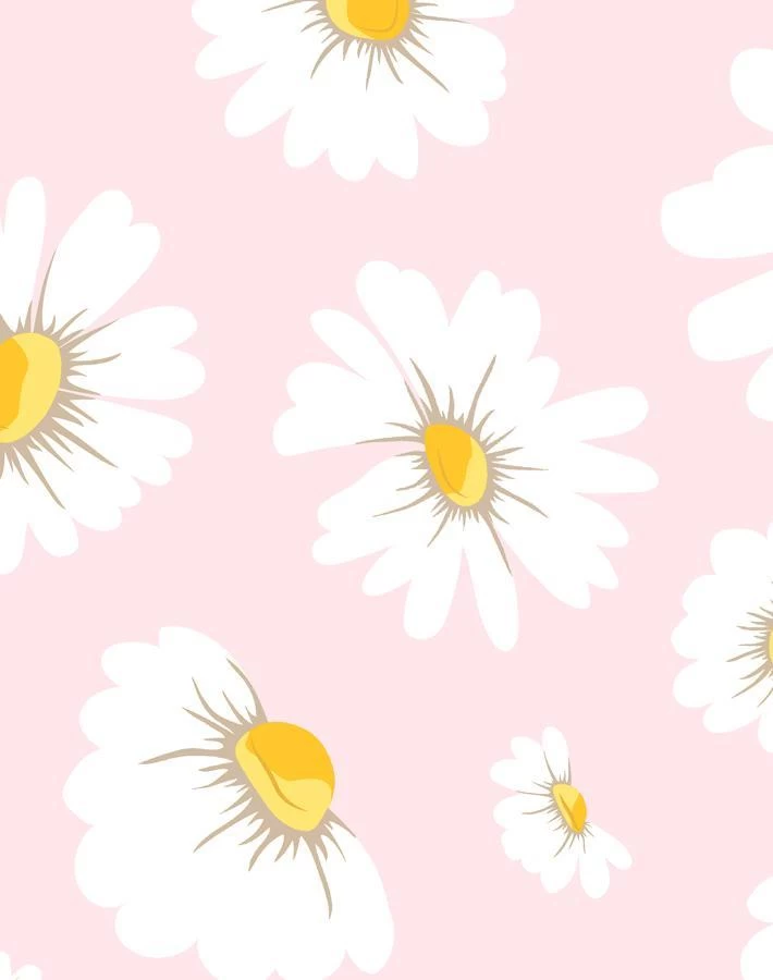 'Daisy Bloom' Wallpaper By Wallshoppe - Ballet Slipper 4 'Daisy Bloom' Wallpaper By Wallshoppe - Ballet Slipper - Image 2