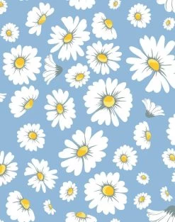 'Daisy Bloom' Wallpaper By Wallshoppe - Cornflower -Wall Decoration Store DaisyBloom Cornflower design 169b46ff 4369 4115 8127 8a0ffd637745