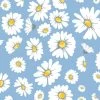 'Daisy Bloom' Wallpaper By Wallshoppe - Cornflower