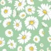 'Daisy Bloom' Wallpaper By Wallshoppe - Green