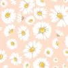 'Daisy Bloom' Wallpaper By Wallshoppe - Peach