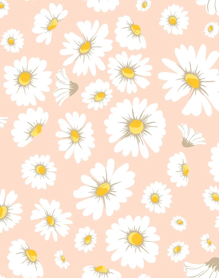 'Daisy Bloom' Wallpaper By Wallshoppe - Peach 3 'Daisy Bloom' Wallpaper By Wallshoppe - Peach