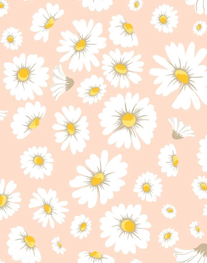 'Daisy Bloom' Wallpaper By Wallshoppe - Peach 5 'Daisy Bloom' Wallpaper By Wallshoppe - Peach - Image 3
